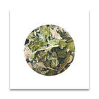 グリーンフラスコ 隠岐黒文字 (ふくぎ茶） 8g