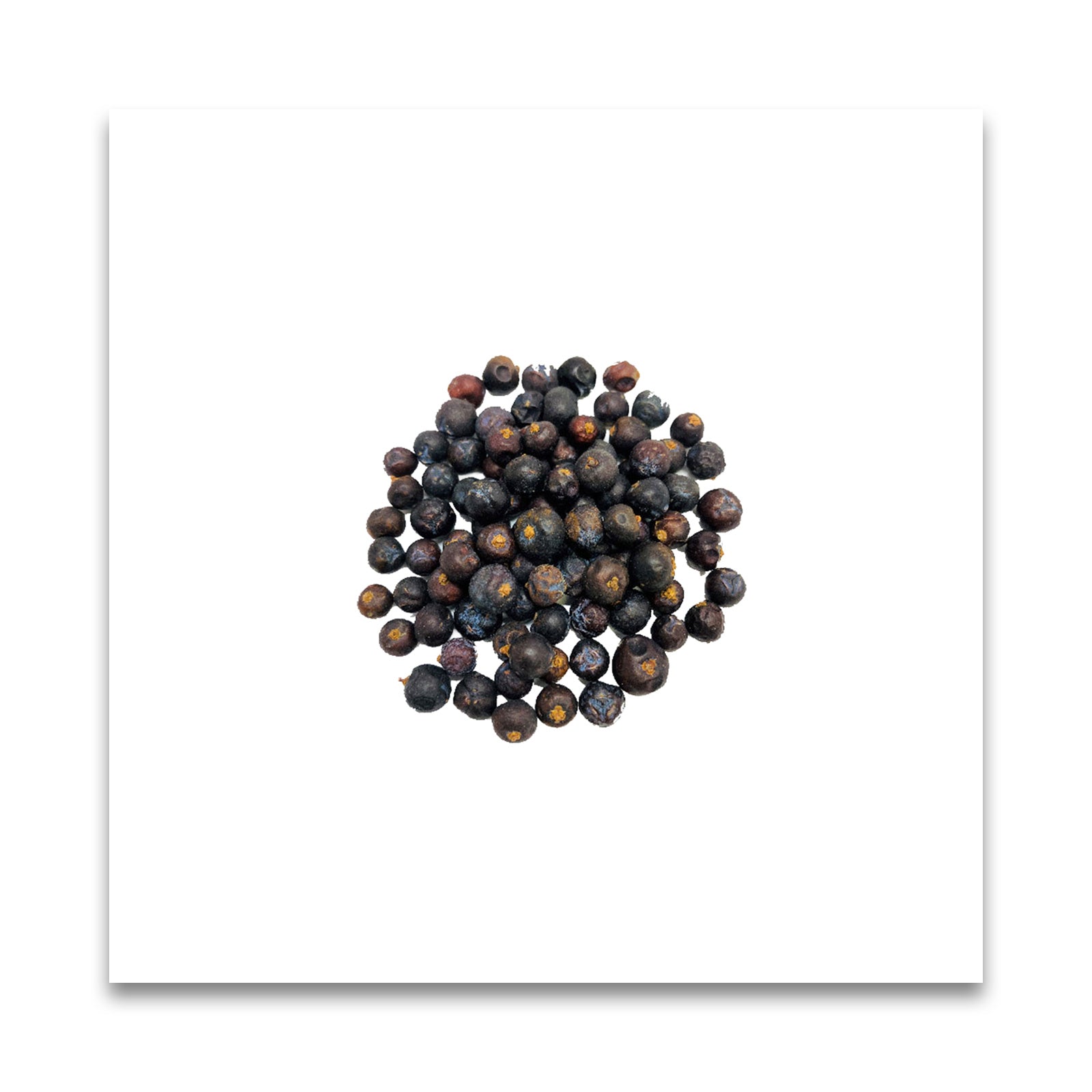 グリーンフラスコ ジュニパーベリー 40g