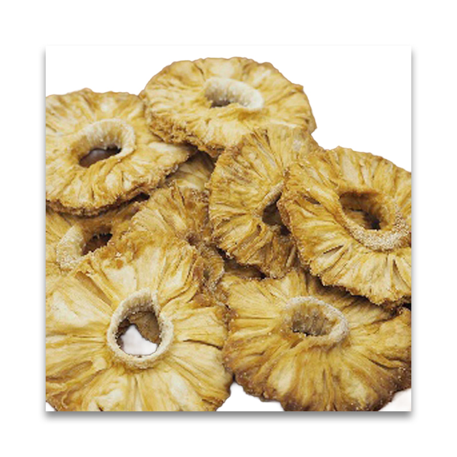 バイオシード ドライ パイン 50g
