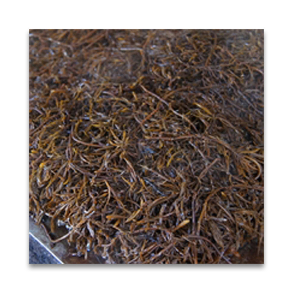 無茶々園 ひじき 30g