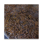 無茶々園 ひじき 30g