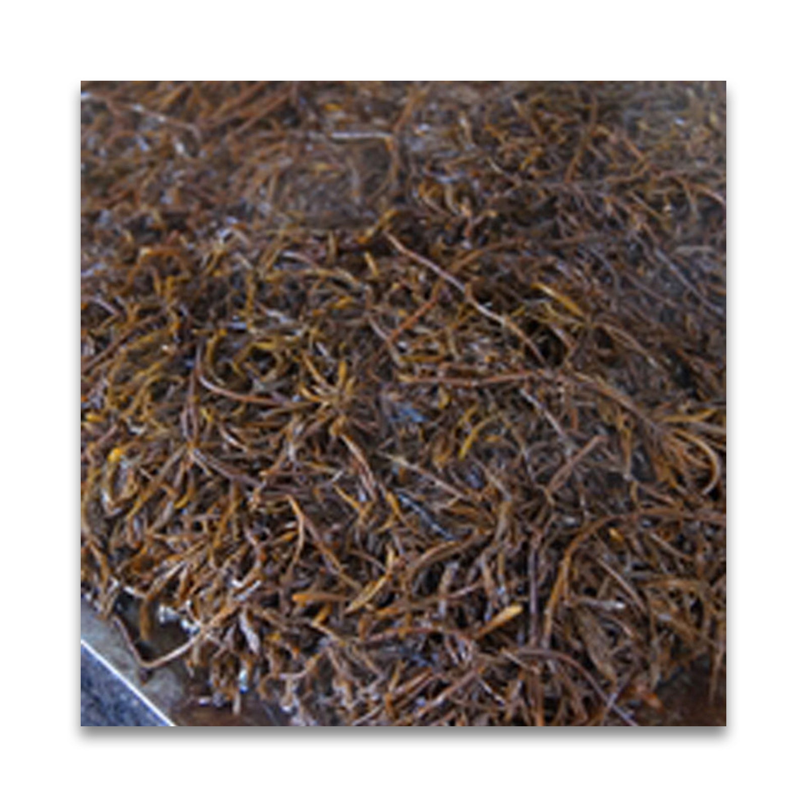 無茶々園 ひじき 30g