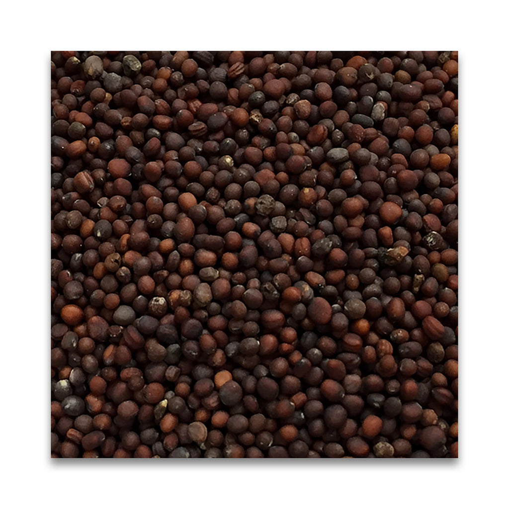N HARVEST 有機ブラックマスタードシード 20g
