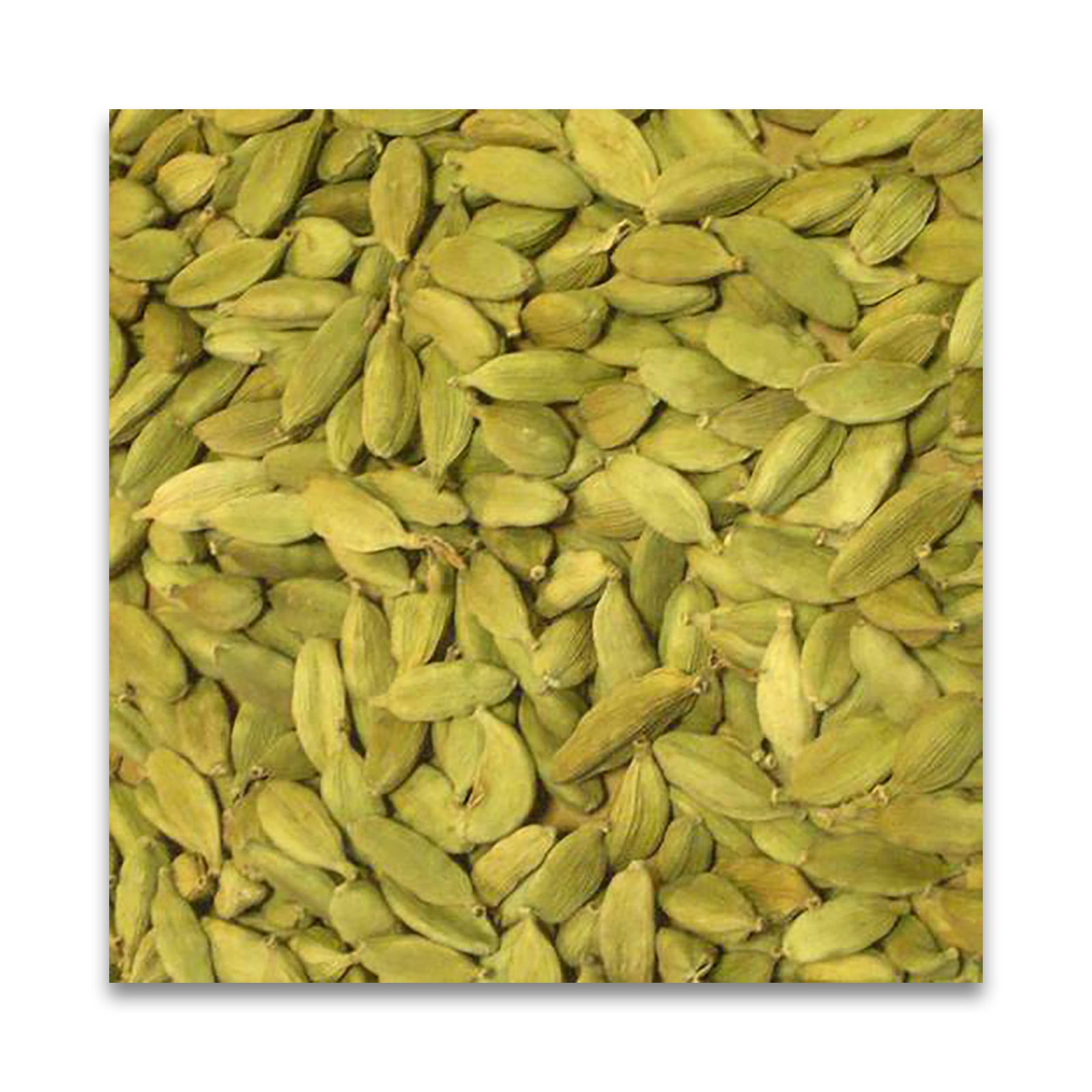 N HARVEST 有機カルダモンシード 10g