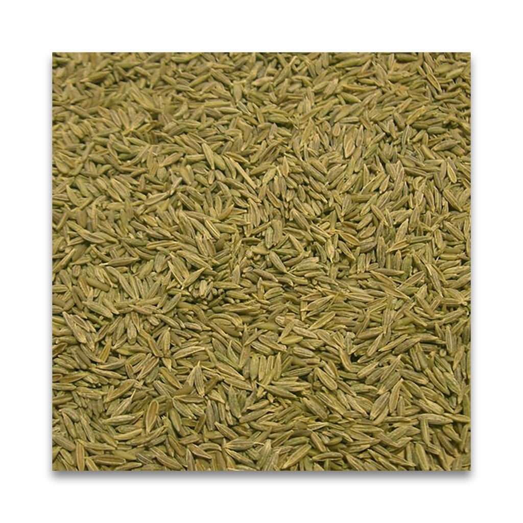 N HARVEST 有機クミンシード 20g