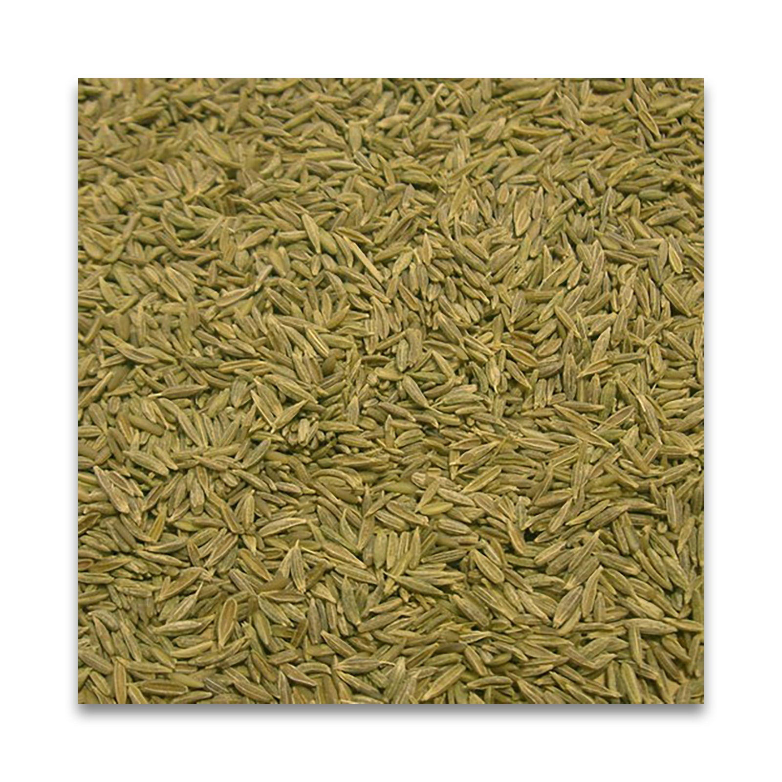 N HARVEST 有機クミンシード 20g