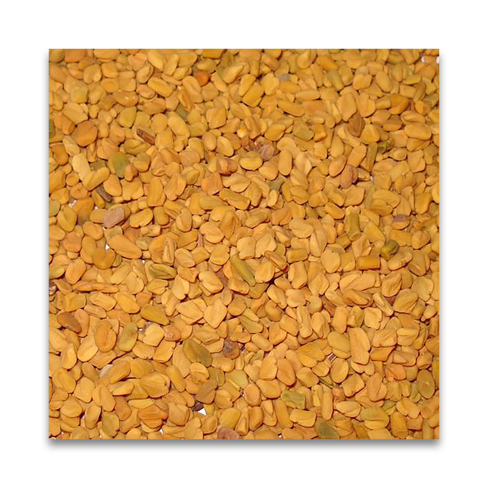 N HARVEST 有機フェヌグリークホール 20g