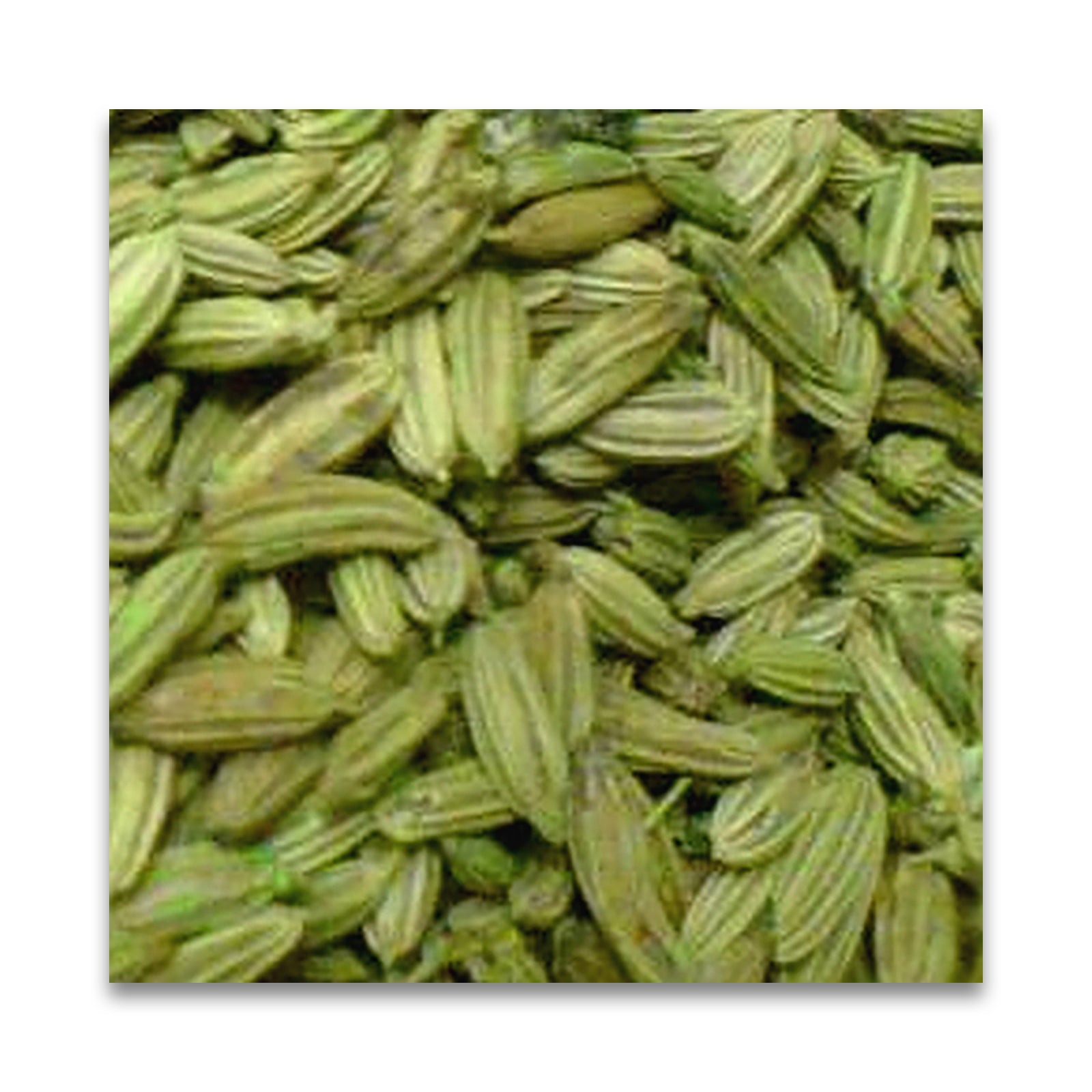 N HARVEST 有機フェンネルシード 15g