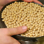 マルカワみそ 自然栽培みそ 未来 400g