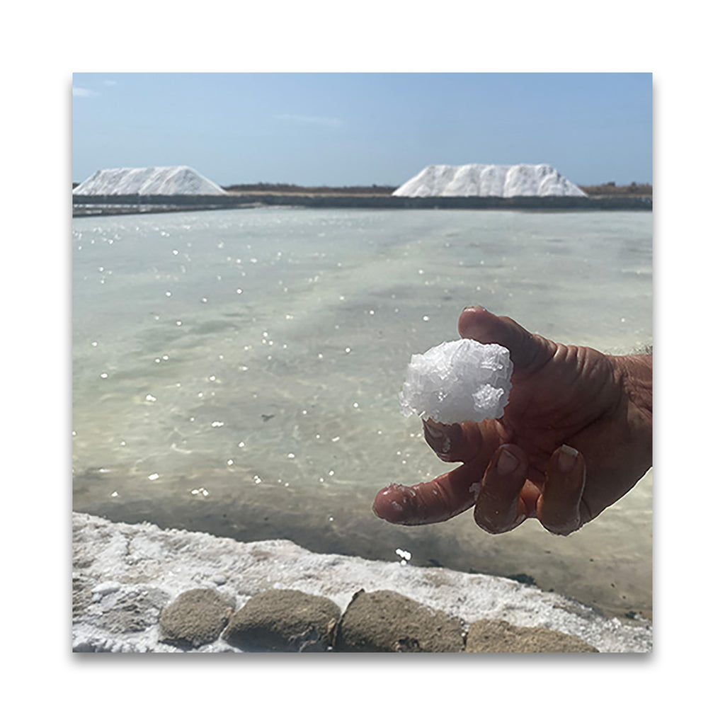 ラ・クチネッタ　シチリア天日海塩（細粒）1kg